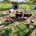 La Rocherie Semesterbostad Hambers